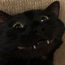 CE_Smile emote