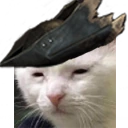 bloodbornebutatwhatcost emote