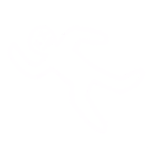 errordecal emote