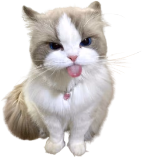 cutecattongue emote