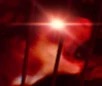 Ferret_Scree emote