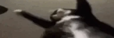 hold emote
