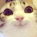 CE_Smile2 emote
