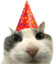 PartyCat static emote