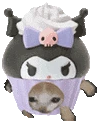 KuromiCatRun emote