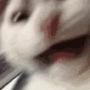 scream emote