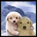 Friends emote