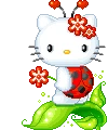HelloKittyLadybug emote