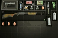RE4Inventory emote