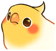 birbstare emote