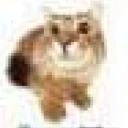 erm emote