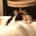 mewheniGETyou emote