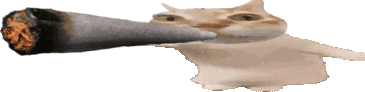 zazatime emote