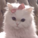 Coquette emote