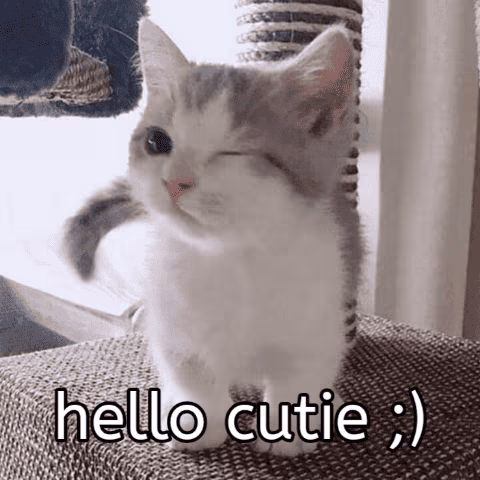 hello_cutie emote