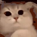3 emoji