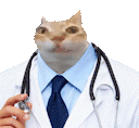 JerryTheDoctor animated emote