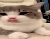 tasty emote