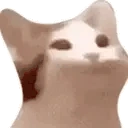 POPCRAZY emote