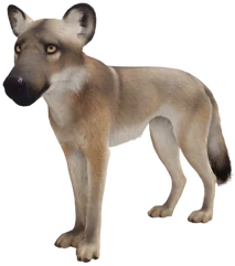 EcosAcerSkin emote