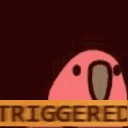 triggeredparrot emote