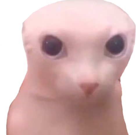 bingus emote
