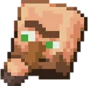 VillagerWhat emote
