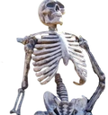 chill emote