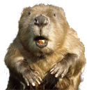 bober emote