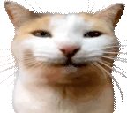 BLEHHH emote