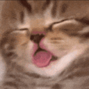 dead static emote