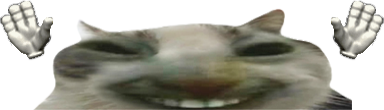 wiresCaught static emote