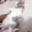wiggle_waggle_woggle emote