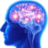 bigbrain emote