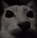 LaCaraDespair emote