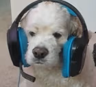 StableJackson emote