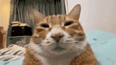 buh2 emote