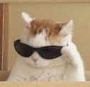 CE_koolcatto2 emote