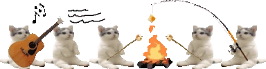 catsittingverycomfortablearoundacampfirewithitsfriendssingingson emoji