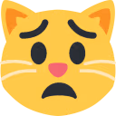 worriedcat emote