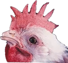 Sad_Chicken emote