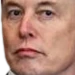 elonwtf emote