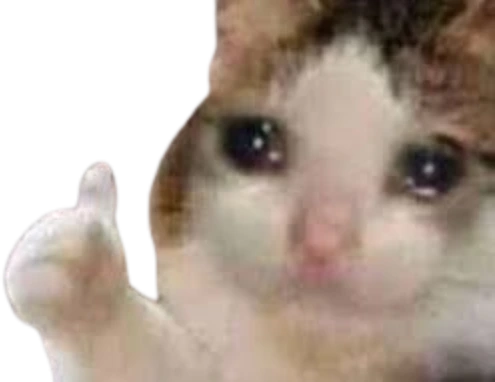 CatThumbsUpSad emote