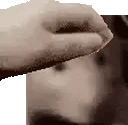 PETTHERAT emoji
