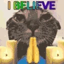 WetCatIBelieveManifestingW emote