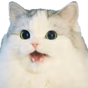 suprised emote