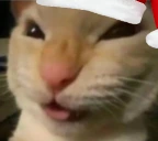 Nyehehehe emote