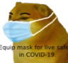 cheems_equipmaskforlivesafe emote