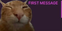 firsttimebuher emote