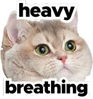 heavy_breathing_cat emote